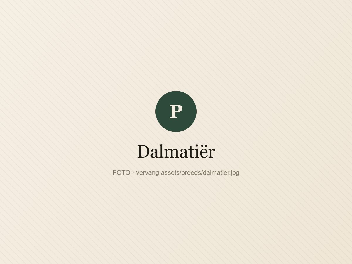 Dalmatiër