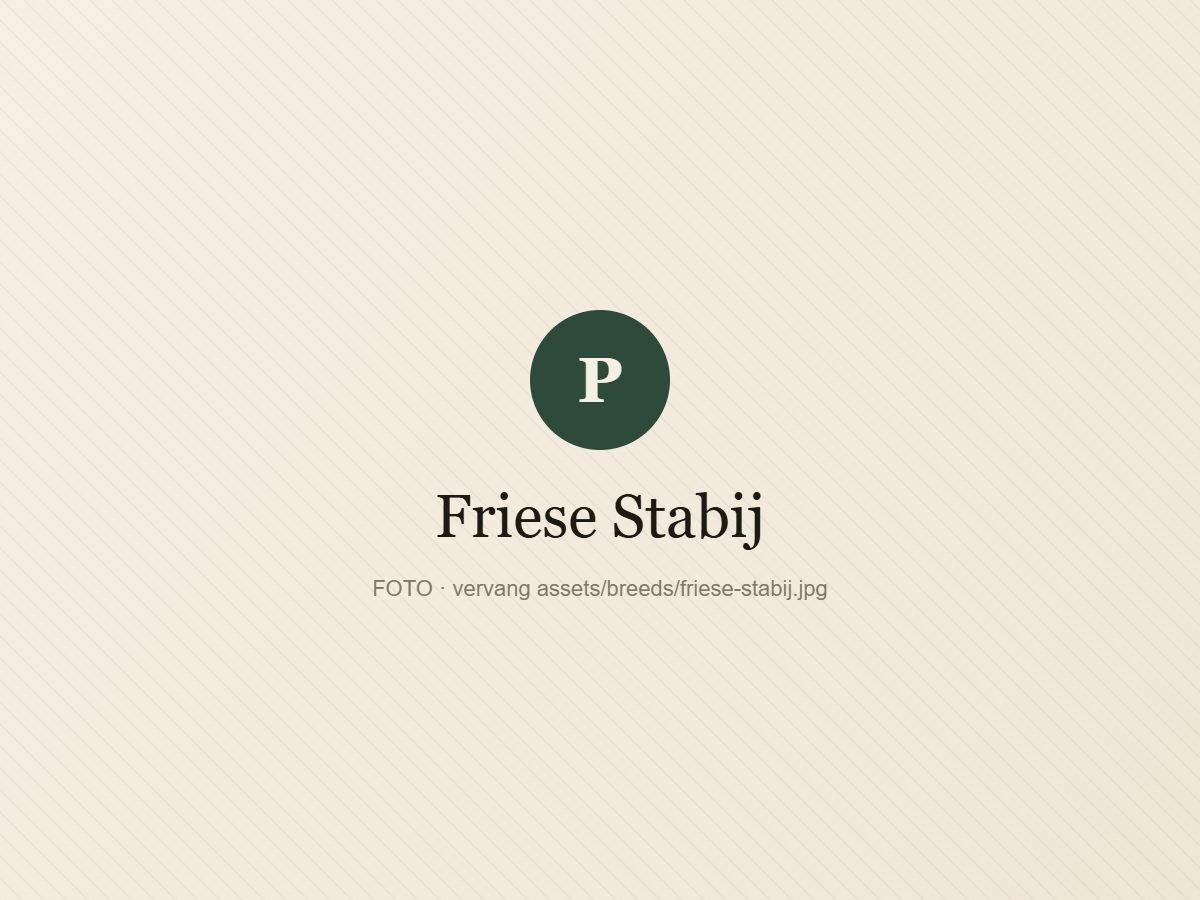 Friese Stabij