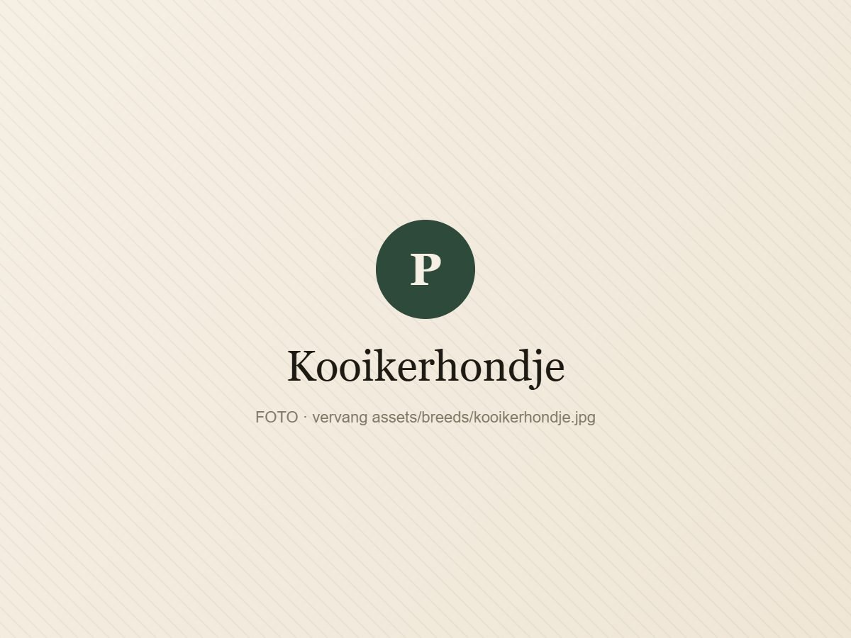 Kooikerhondje