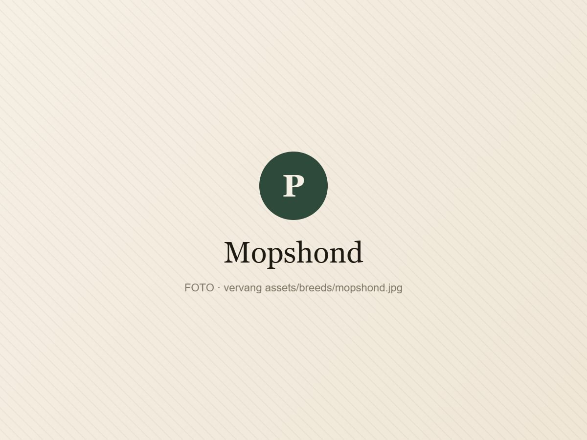 Mopshond