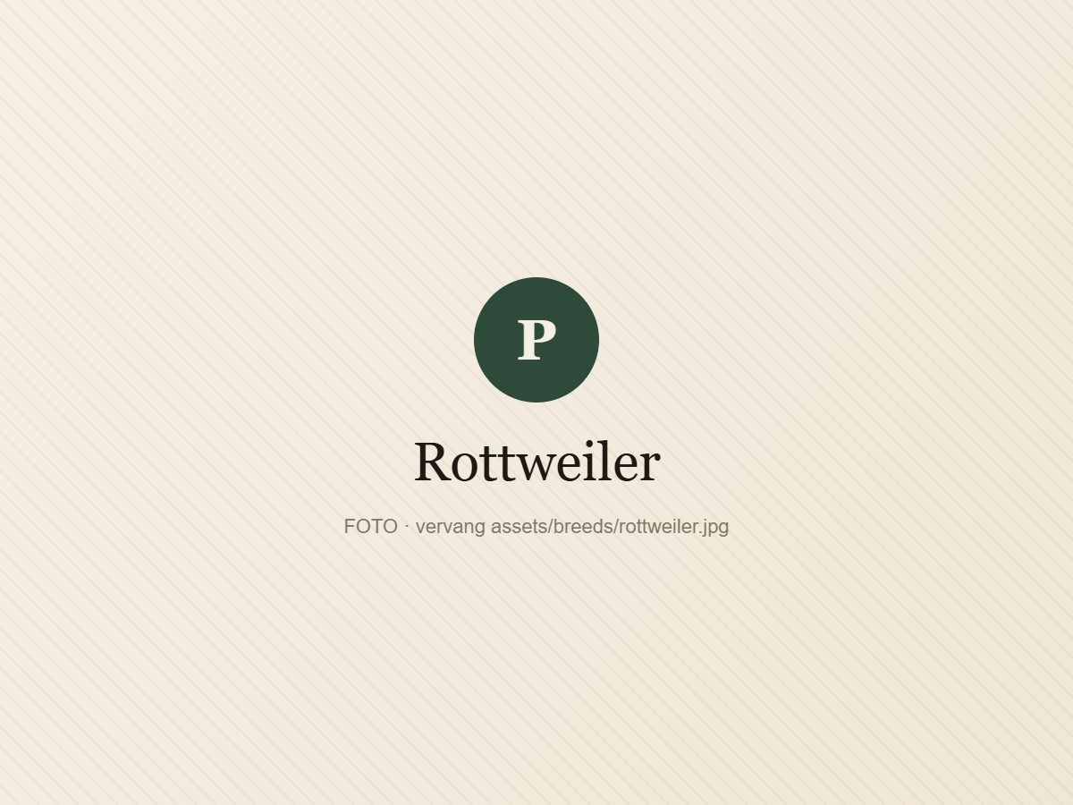 Rottweiler