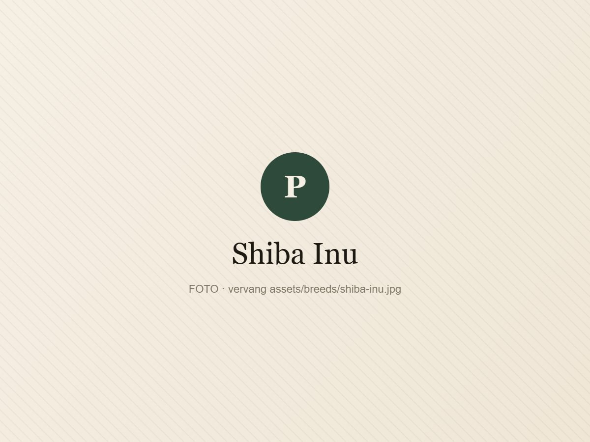 Shiba Inu