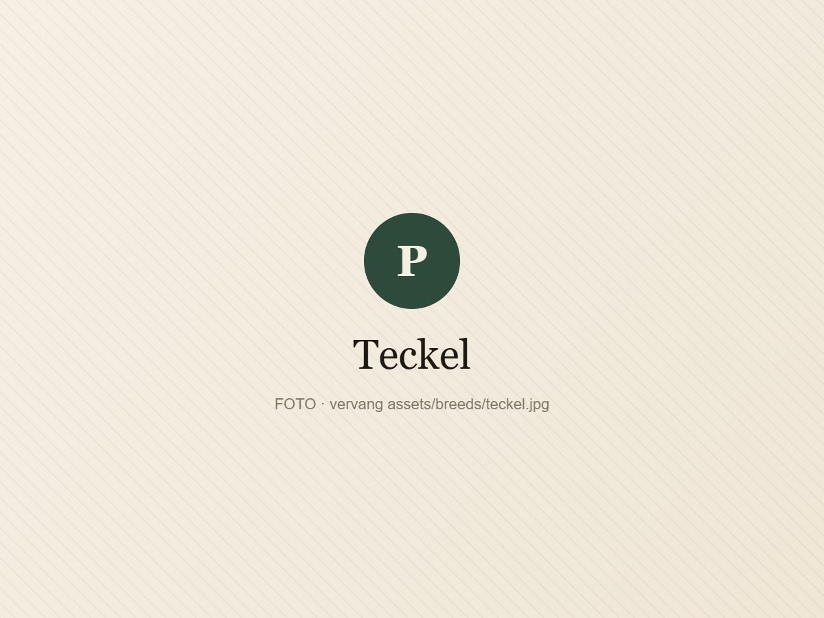 Teckel