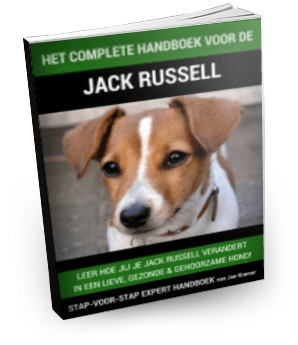 Handboek-jack-russell