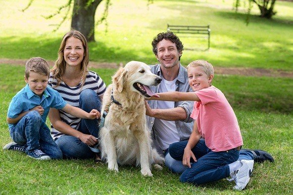 Familie hond welke hond past bij mij?