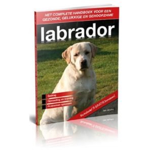 Labrador Handboek