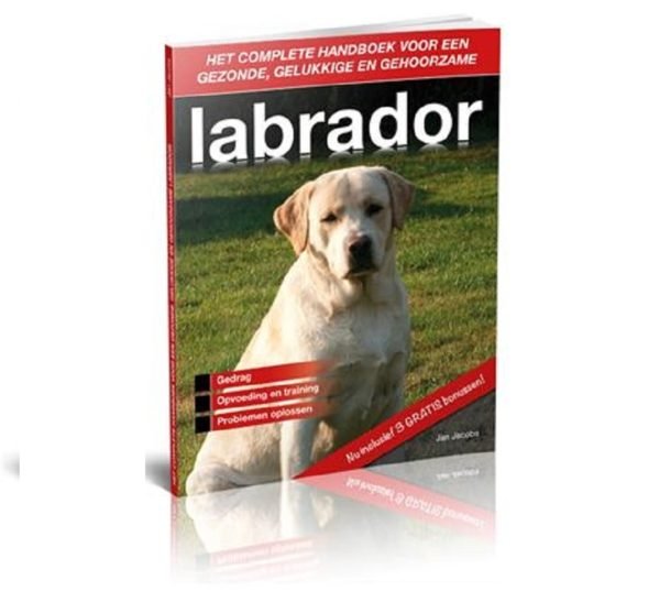 Labrador Handboek