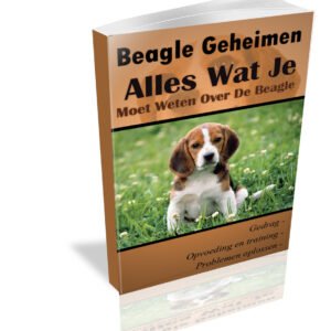 Beagles geheimen