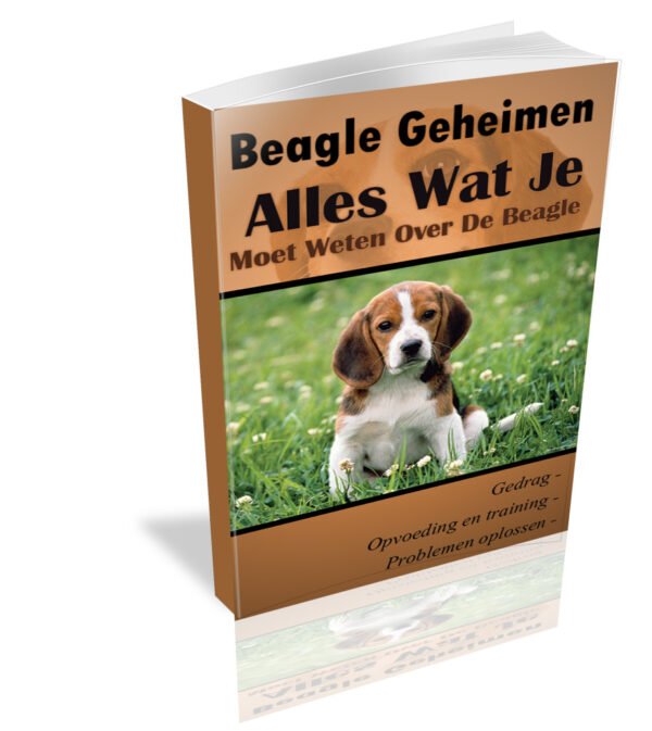 Beagles geheimen