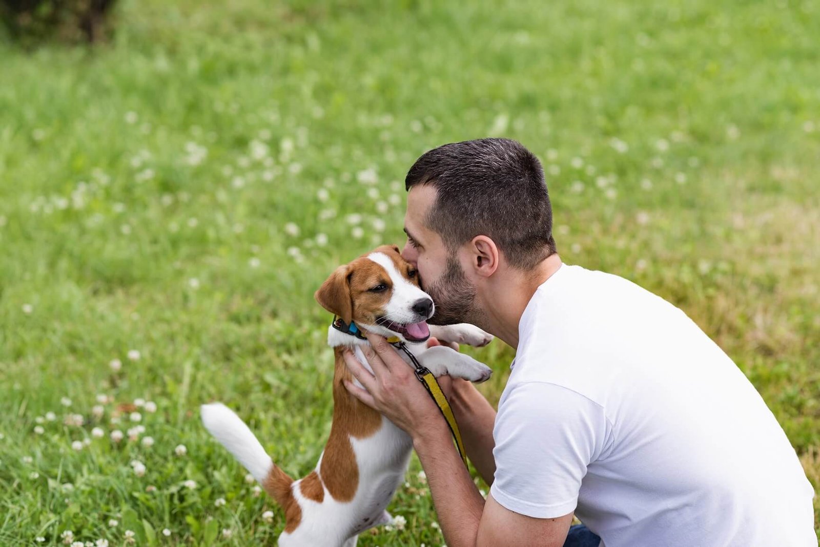 Je eerste hond welke hond past bij mij